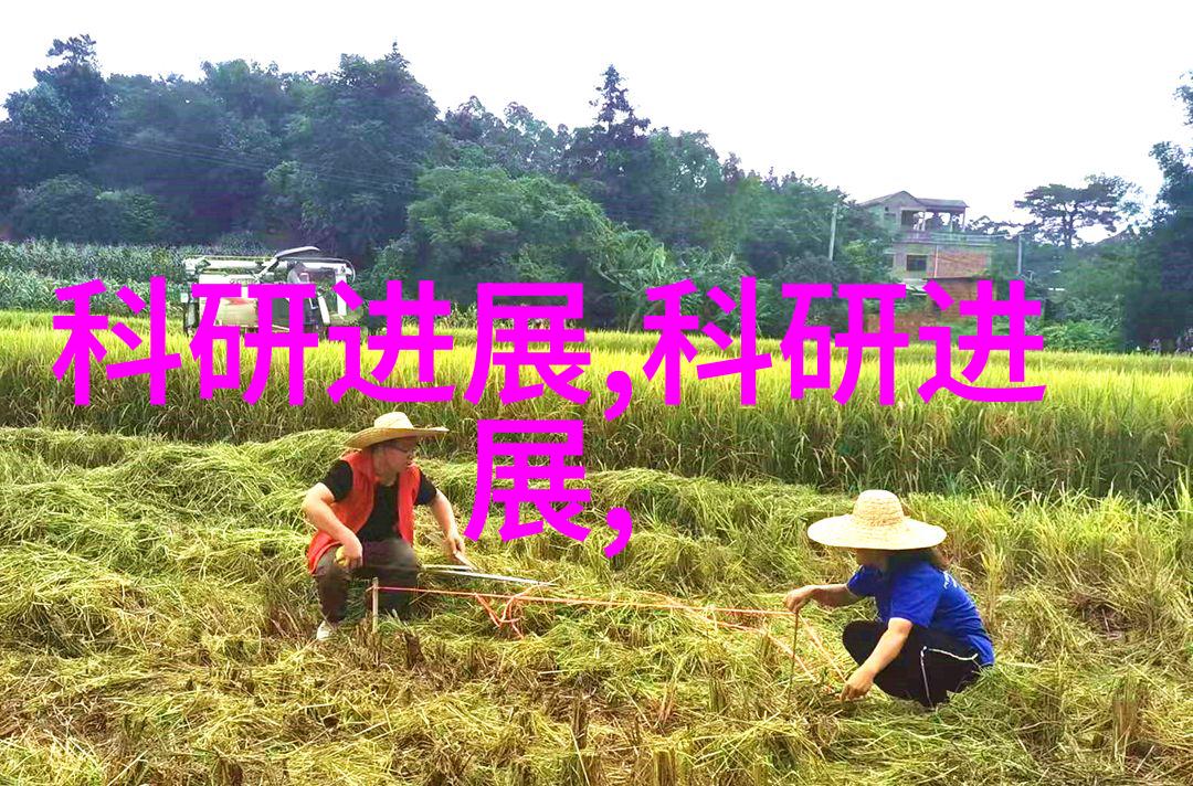 彩钢压瓦机我来教你怎么用它轻松盖房子