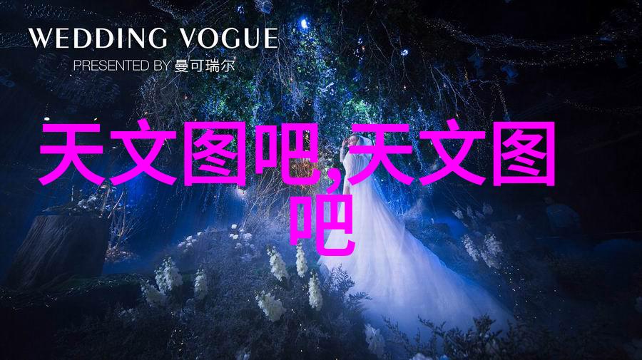 自查报告-深度剖析如何撰写高效的自我检查文档