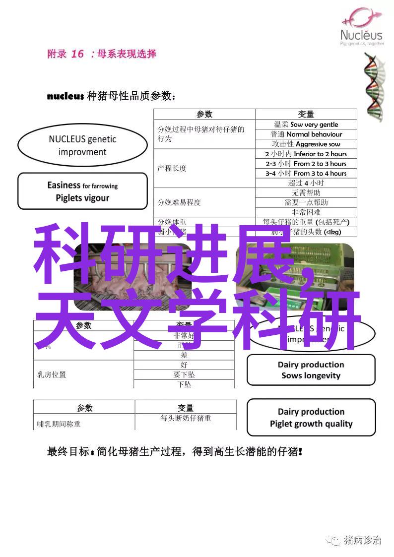 工业废气处理-高效脱硫技术的应用与实践工业废气处理废气净化塔的创新方案