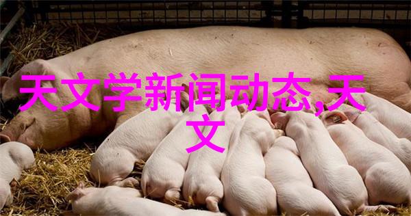 压滤机设备在食品加工中的应用有哪些