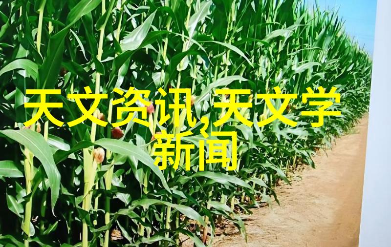 丝网波纹填料计算公式-精确计算丝网波纹填料的数学秘诀