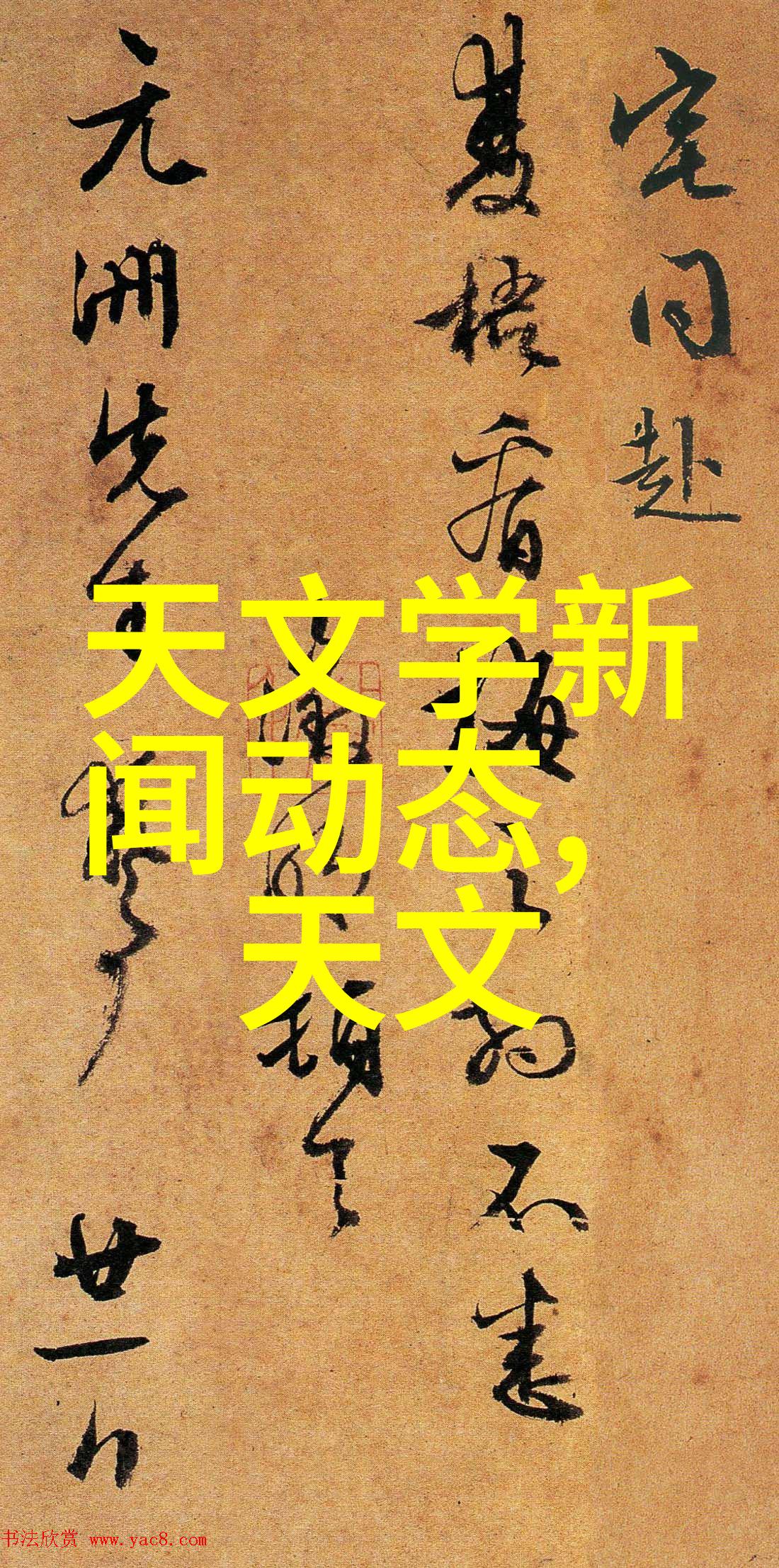 内蒙古财经大学官网背后的故事有哪些
