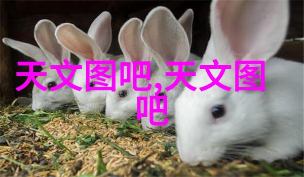 微观奇迹7nm光刻机的幻影