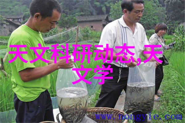 316L不锈钢板价格查询-316L不锈钢板市场分析了解每吨的精确成本