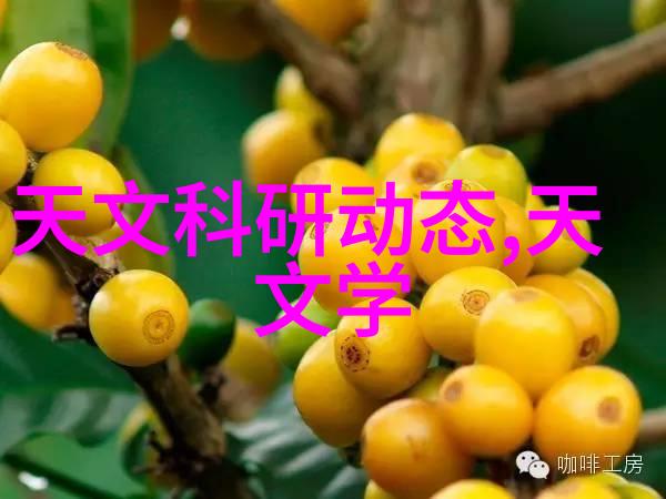 波纹中的秘密不锈钢填料的迷雾