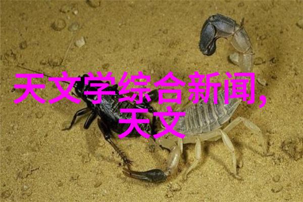 机器之心传动带的旋转诗篇