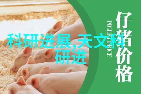 烤包器-香气满满的家常烤包器如何让每一口都充满爱