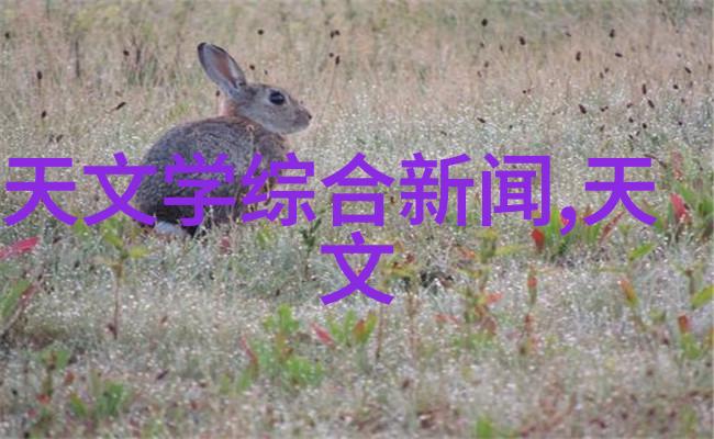 家庭环境下能否自行进行简单的水质检查