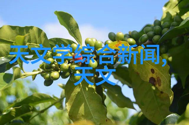 金融股受利率预期影响银行和保险行业表现分化