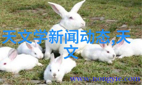 电子废弃物回收站专业处理旧电器