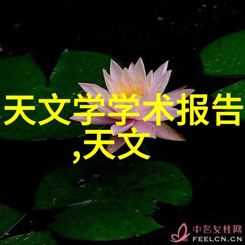 反应器材料选择之谜性能与成本的平衡