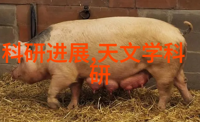 医疗机构小型污水处理系统的设计与应用实践