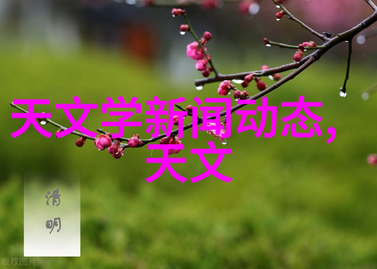 固定流化床反应器在有机合成中的应用研究与展望