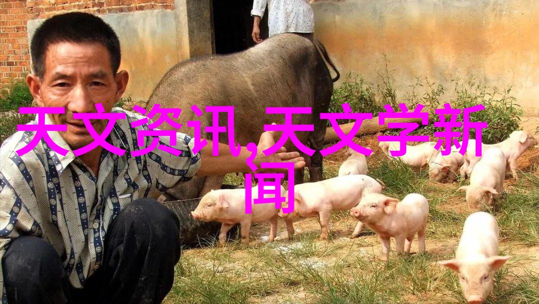 化工新贵多功能机的奇迹之作