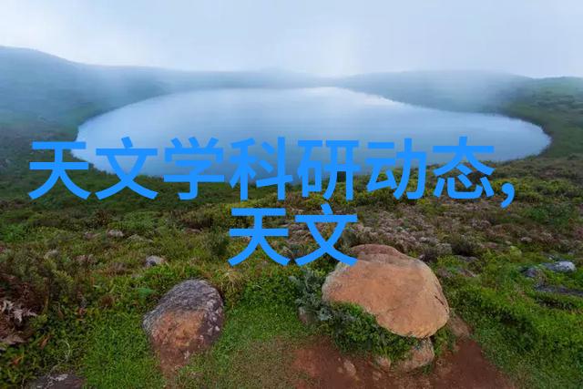 稻谷粉碎机自吸式粮食粉碎机器对偶精细研磨丰收赋能