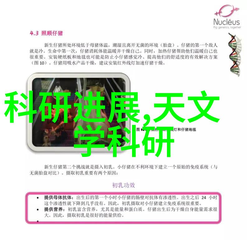 铁艺护栏价格多少钱一米-精彩剖析最新市场报价与设计要素影响铁艺护栏成本