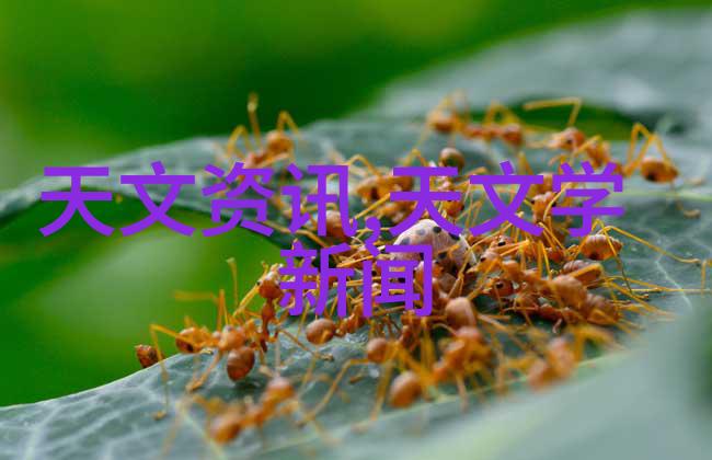 附近不锈钢板材加工店我在街角那家小加工店里找到了解决问题的灵感