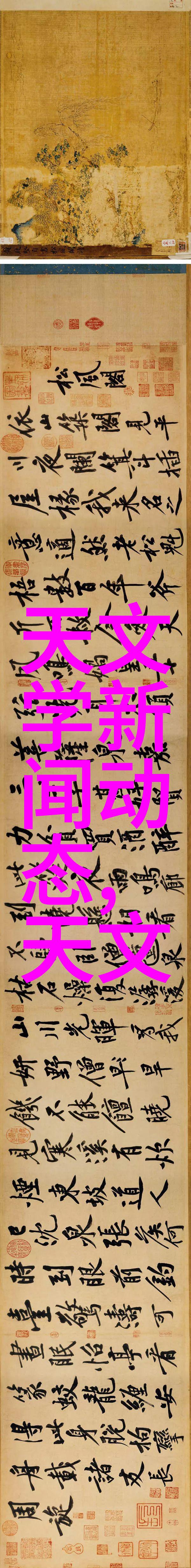 北京软件评测中心编程界的守护者与引领者
