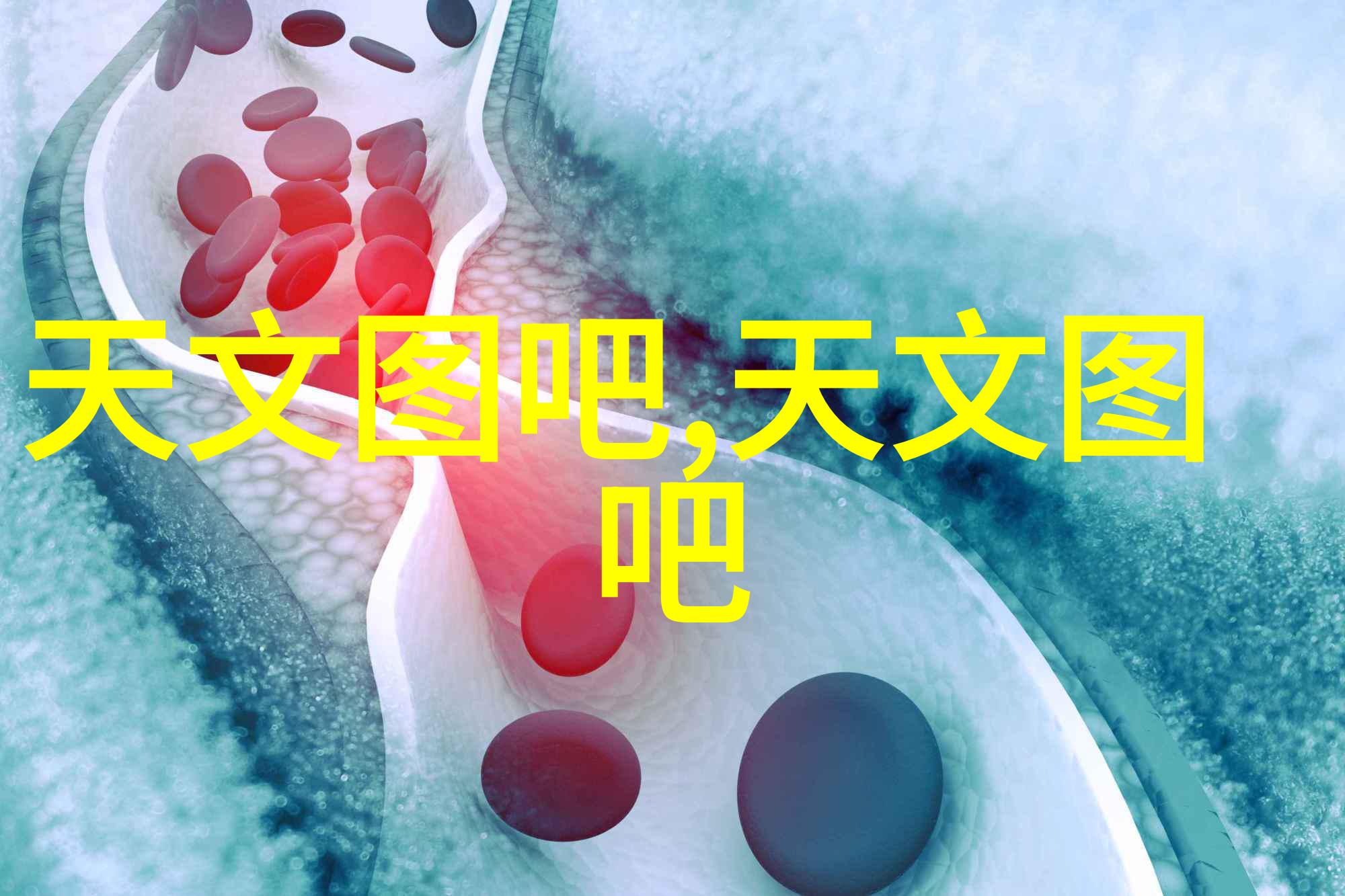 人才素质测评证书披着正装的裤子还是真正的翅膀