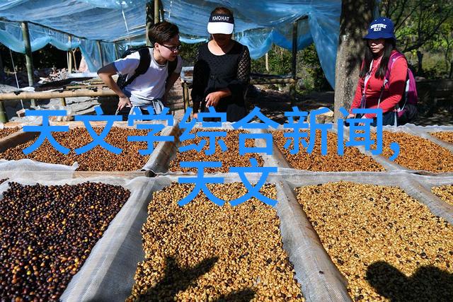 技能与品行并重人才素质测试结果如何转化成职业优势