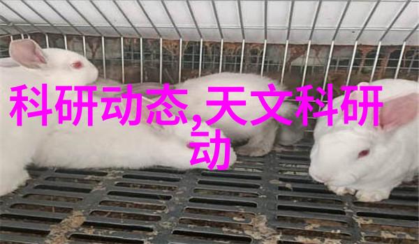 垃圾焚烧炉生产厂家将废物变身为金钱的艺术大师们