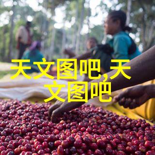 化工胶囊剂机械的发展与应用