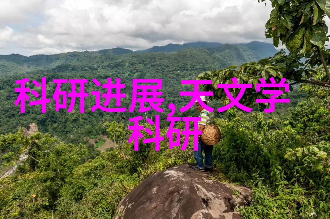 中国TOP财经大学排名学术声望与就业前景的双重考量