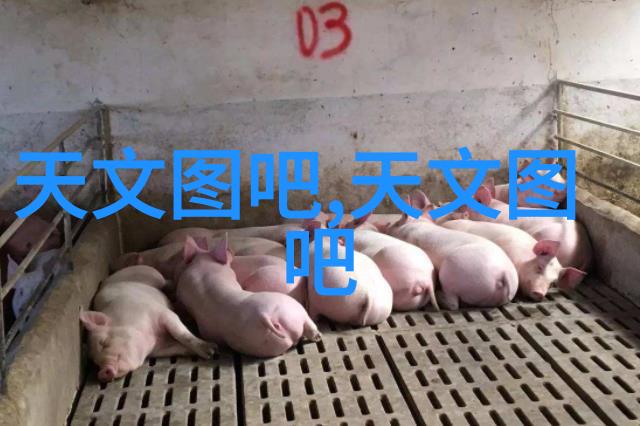不锈钢波纹填料供应高品质材料满足工业需求