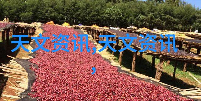宜兴清新之城废气处理设备公司的净化奇迹