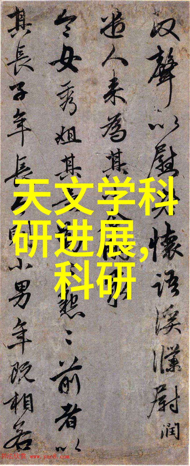 不锈钢填料的应用与意义