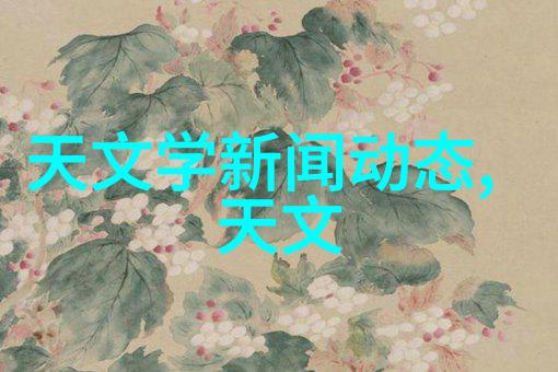 市场洞察与策略制定