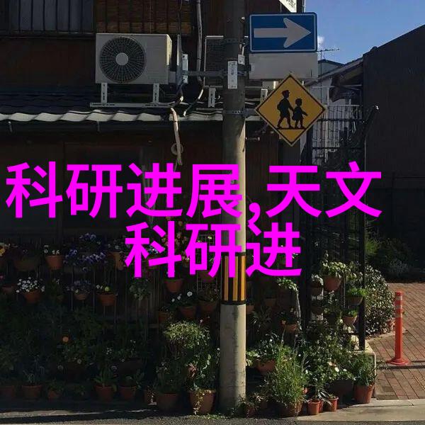 美魔脱内衣时尚女性的隐秘魅力