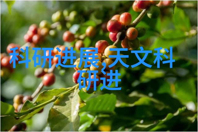化工实验室的精密伙伴高性能分析仪器的应用与发展