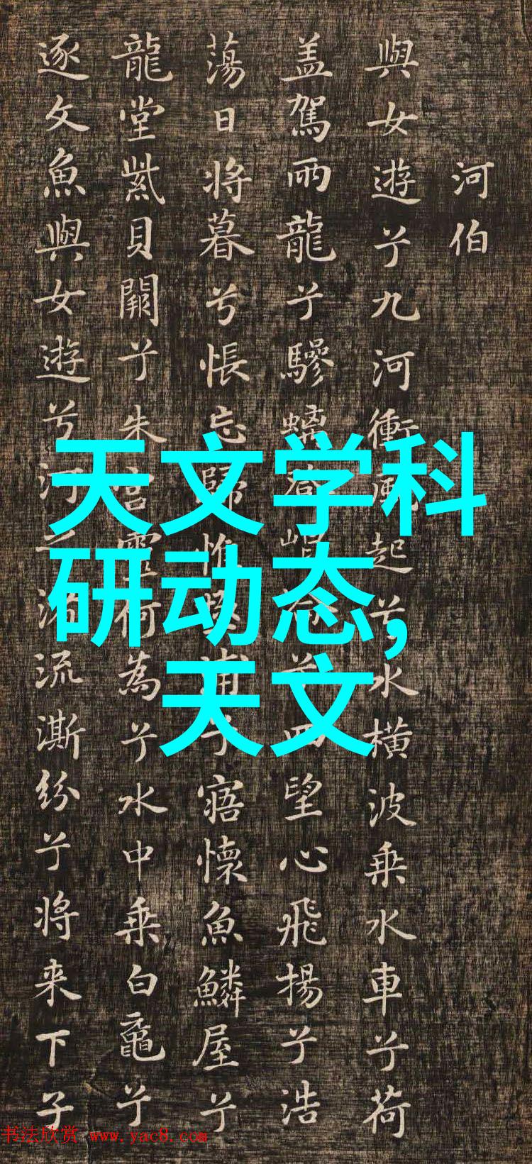 用户可以通过中国财经信息网获取哪些类型的财经服务