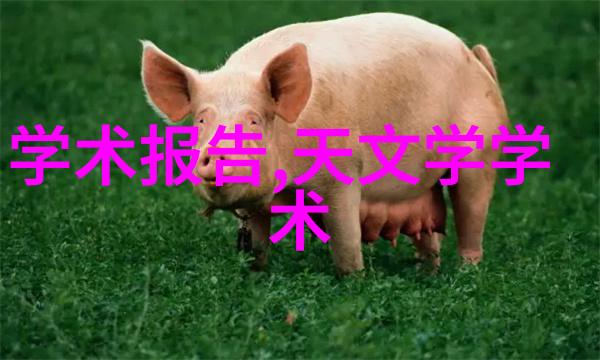 个人述职报告编写技巧之探究