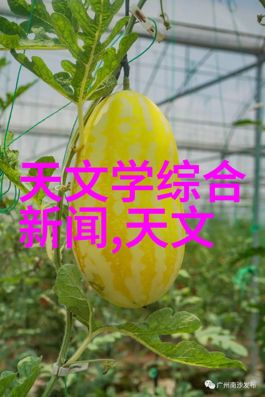 主题我来告诉你离心机的技术参数好不好