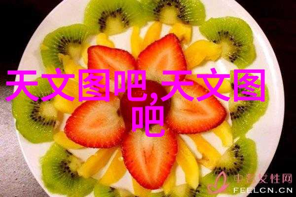填料塔结构揭秘高清大图展示其精巧构造