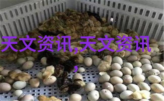 探秘真空机超低压的奇迹与应用