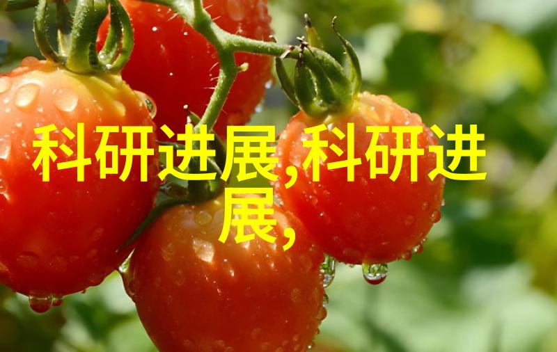 化学反应背后的化工产品世界