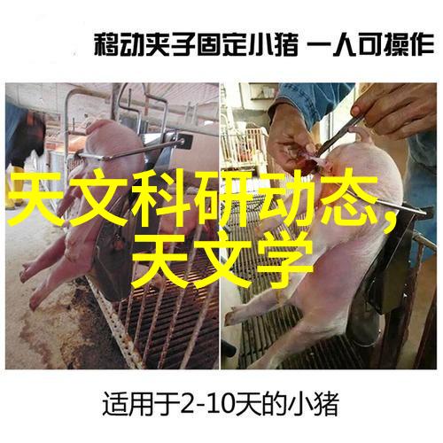 智能化应用-智慧生活新篇章智能化应用的多面魅力探索