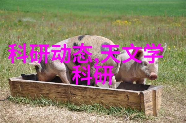 光影交织氧的秘密守护者