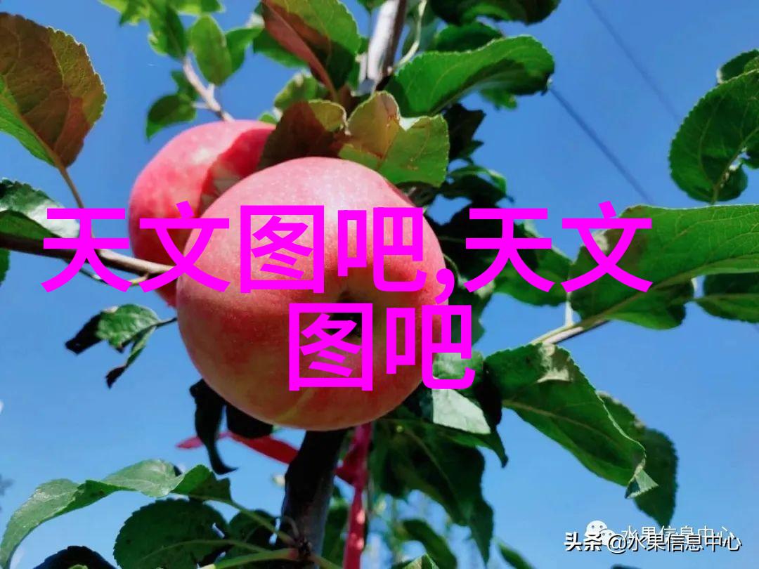 输送设备概述从传统到智能的物料搬运革命