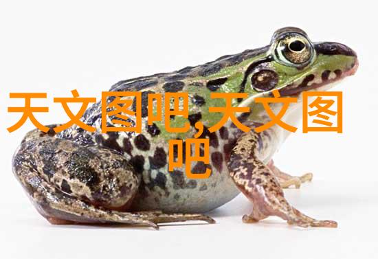 铜铝破碎分离机重金属的清晨