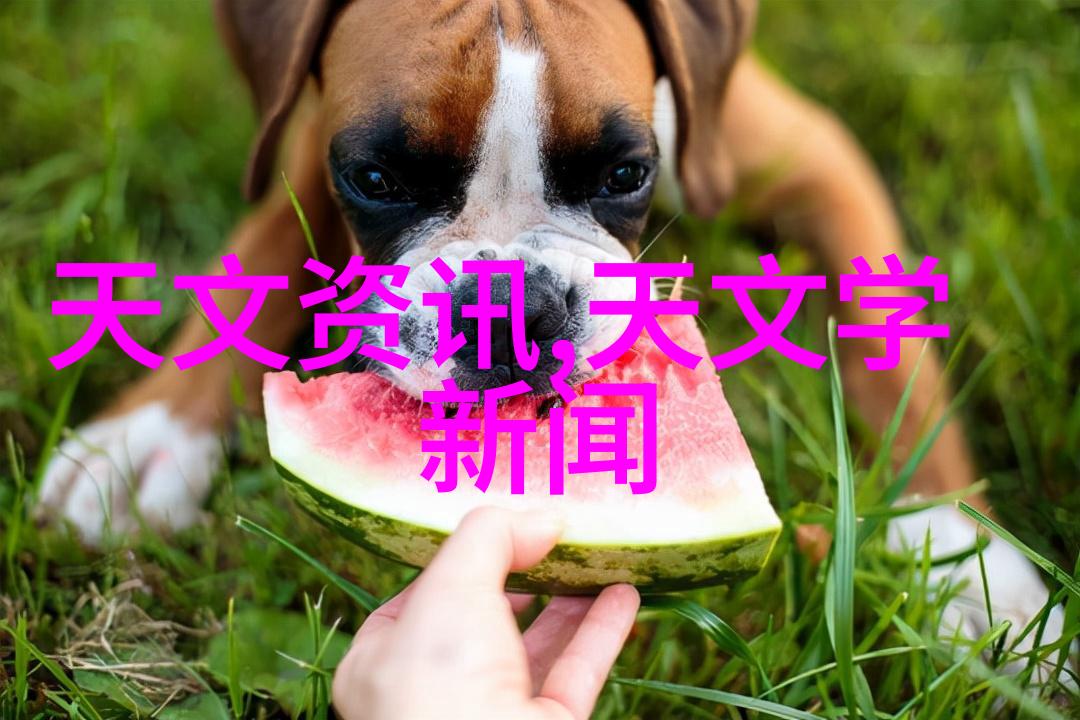 分散机厂家-创新驱动分散机制造业的未来趋势探究