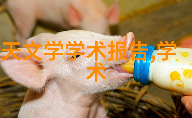如何看待东方学院对社会实践教学的重视程度