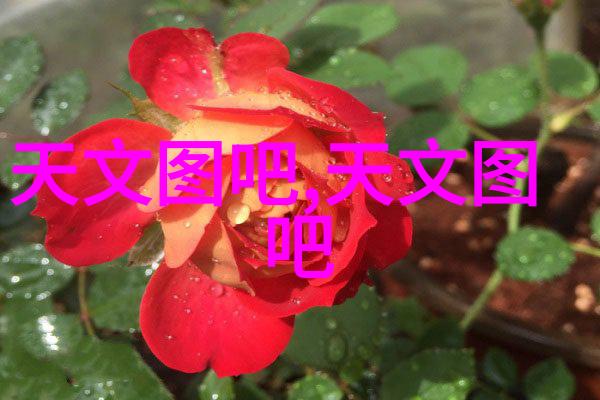 零部件的定义与应用实践探究