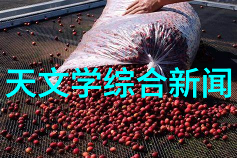 天文研究报告_学术天文报告范文_天文学术报告