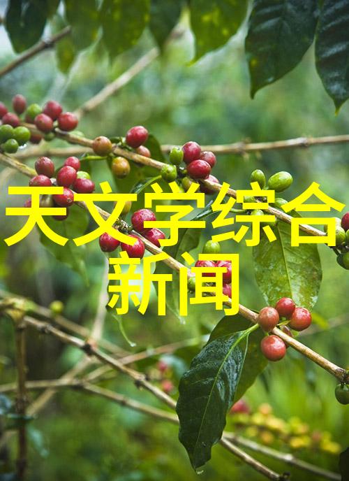 天文研究报告_天文学术报告_学术天文报告范文