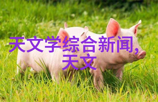 HDPE排水管管件图片大全详解HDPE材料的应用与安装技巧