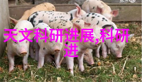 食品杀菌新纪元真空包装的无菌之道